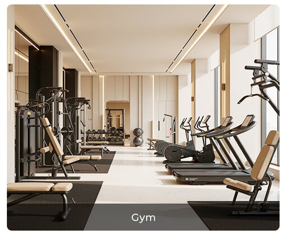 Home gallery gym